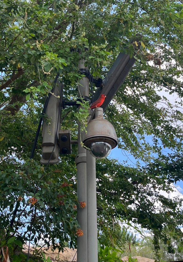Home security camera