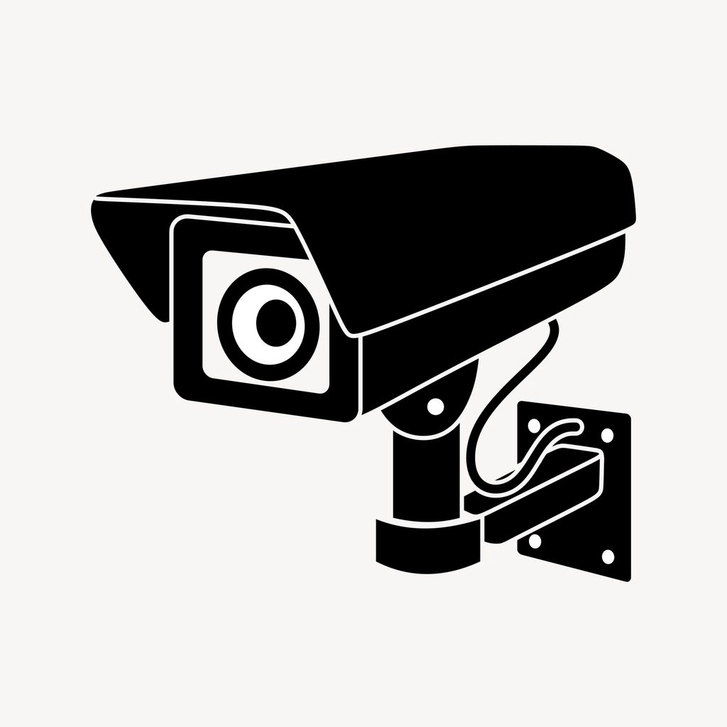 Wired surveillance camera